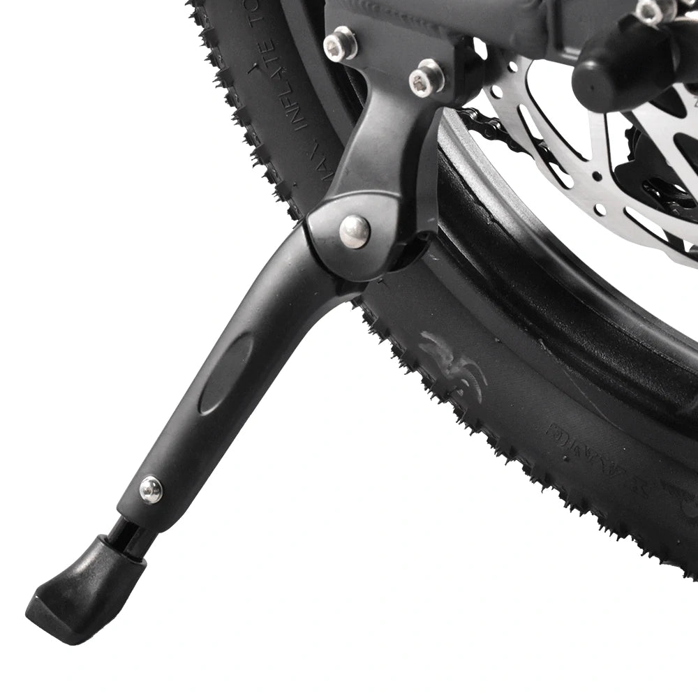 Kaisda K201 Electric Bike