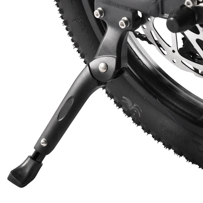 Kaisda K201 Electric Bike
