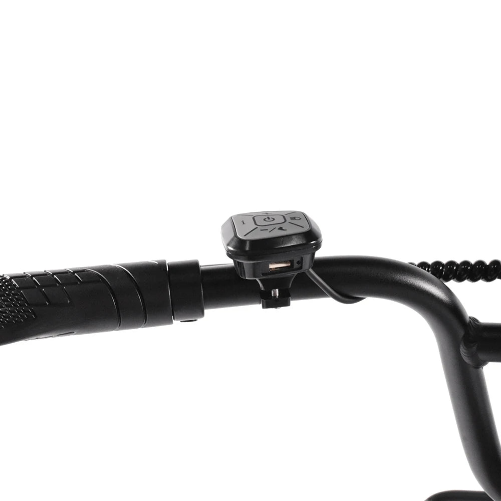 Kaisda K201 Electric Bike