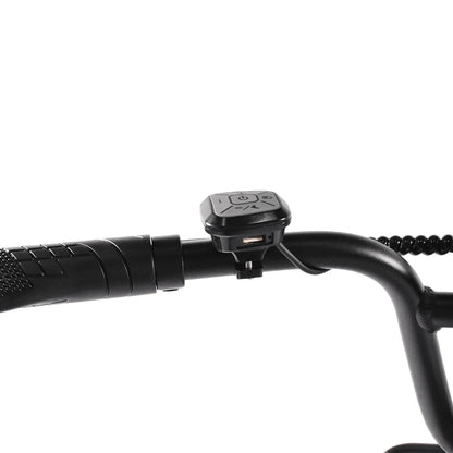 Kaisda K201 Electric Bike