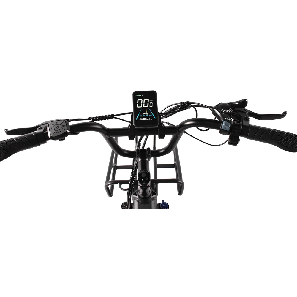 Kaisda K201 Electric Bike
