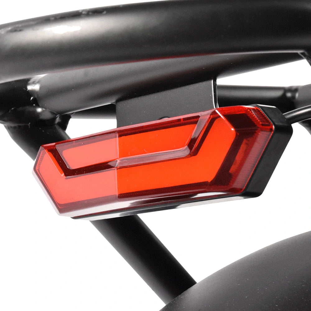 Kaisda K201 Electric Bike