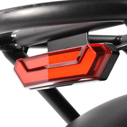Kaisda K201 Electric Bike