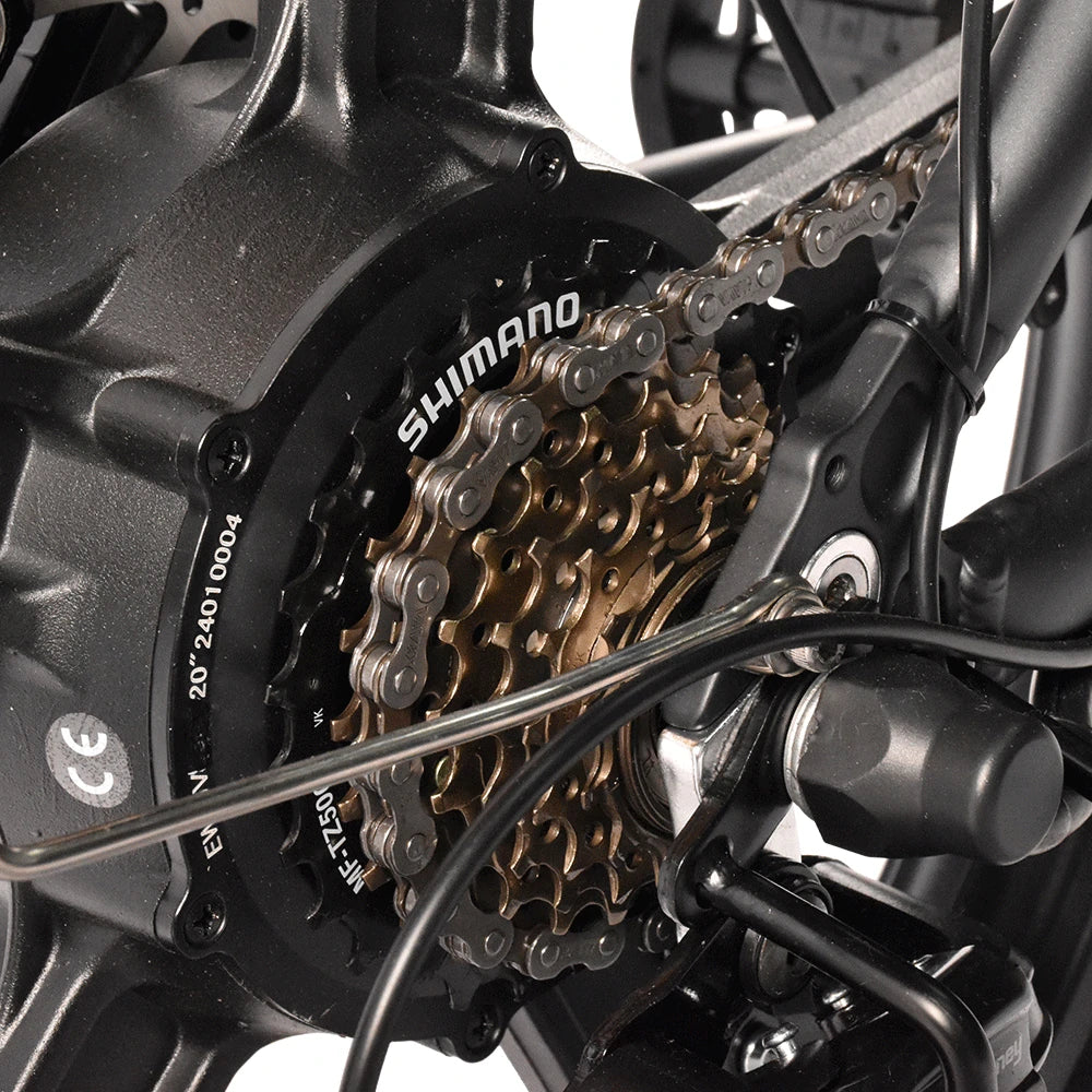 Kaisda K201 Electric Bike