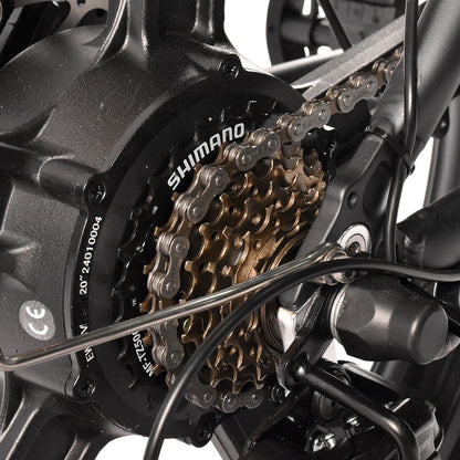 Kaisda K201 Electric Bike