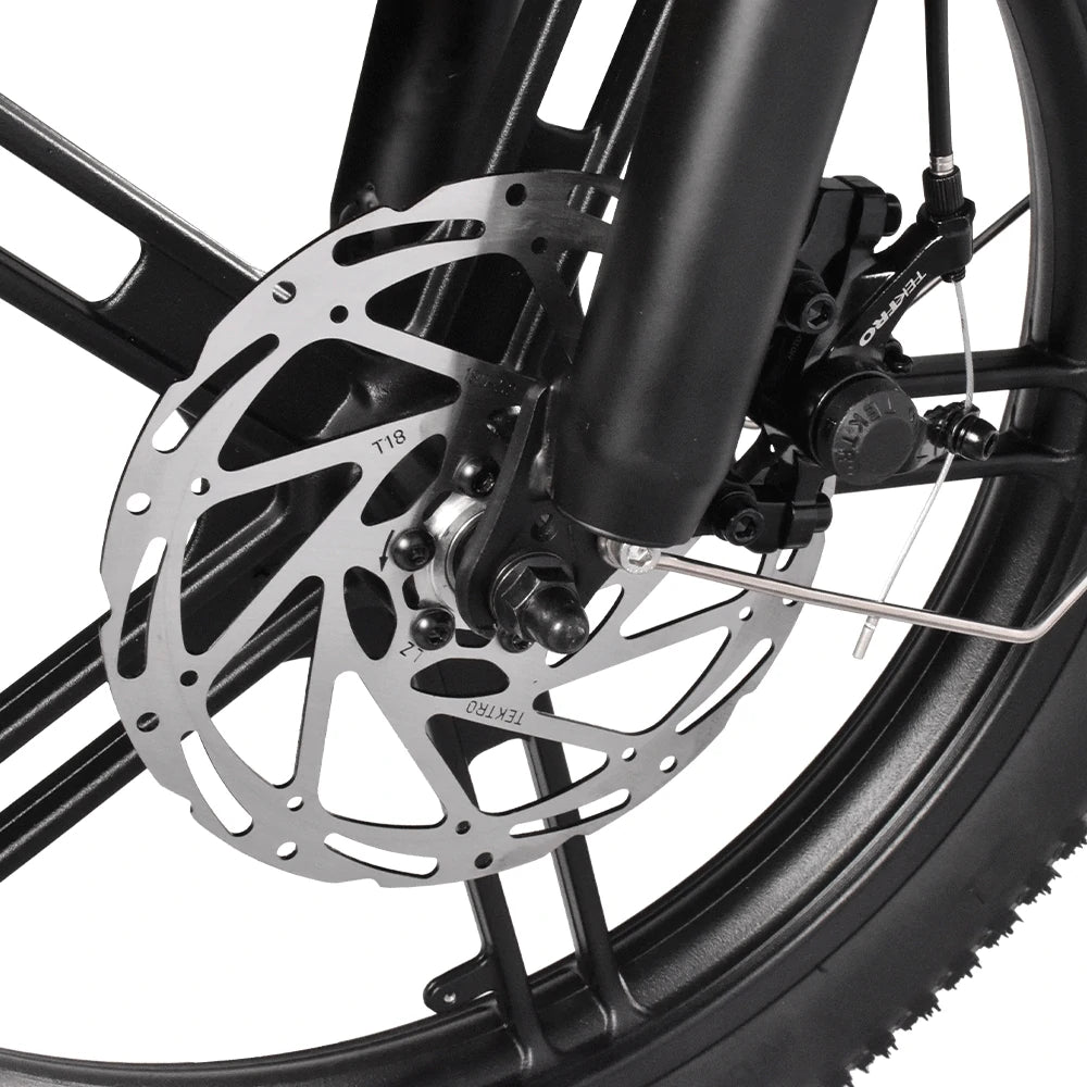 Kaisda K201 Electric Bike