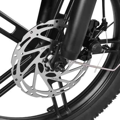 Kaisda K201 Electric Bike