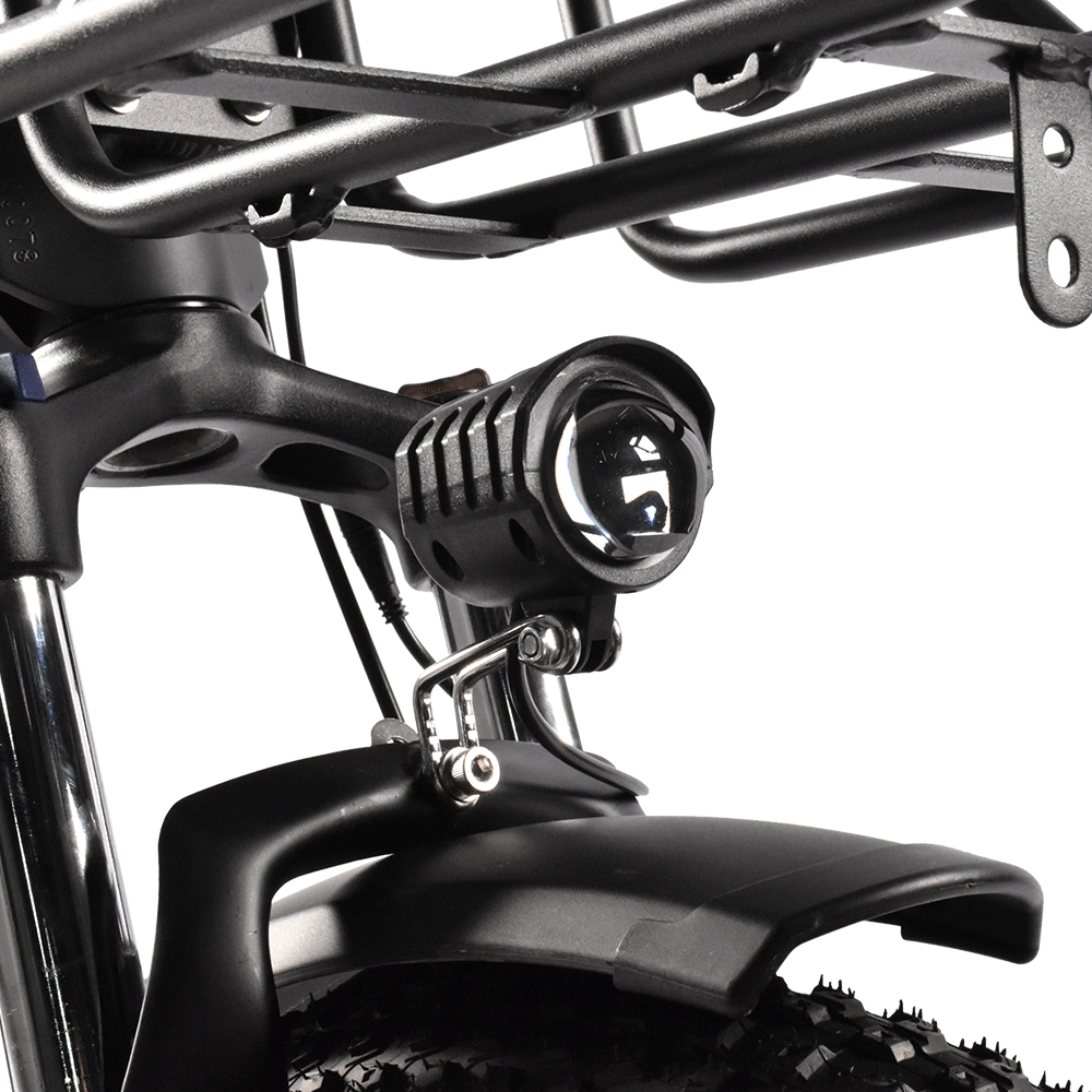 Kaisda K201 Electric Bike
