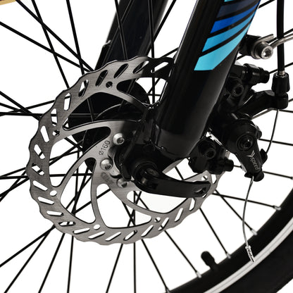 Kaisda K7 Electric Bike